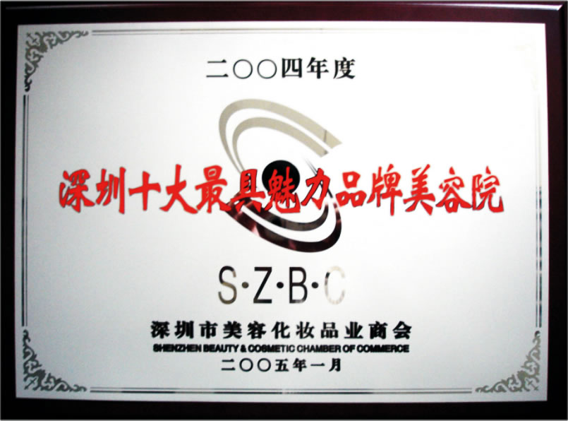 鱼美人2004年十大最具魅力品牌美容院